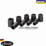 جعبه بکس 10 پارچه ویگور