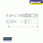 ترکمتر جغجغه ای